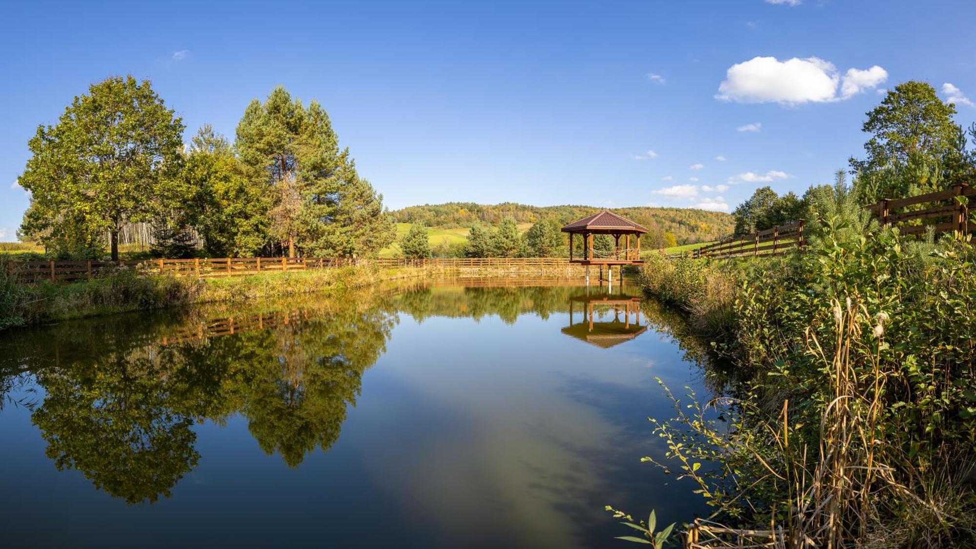 Glamping Pod Gwiazdami Pietrusza Wola酒店 外观 照片