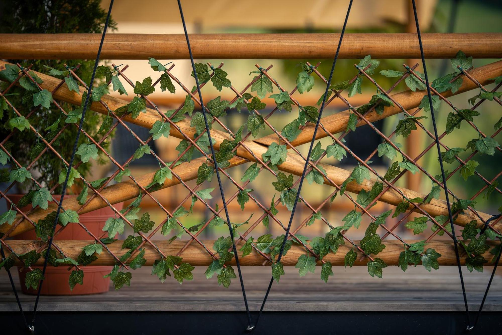 Glamping Pod Gwiazdami Pietrusza Wola酒店 外观 照片