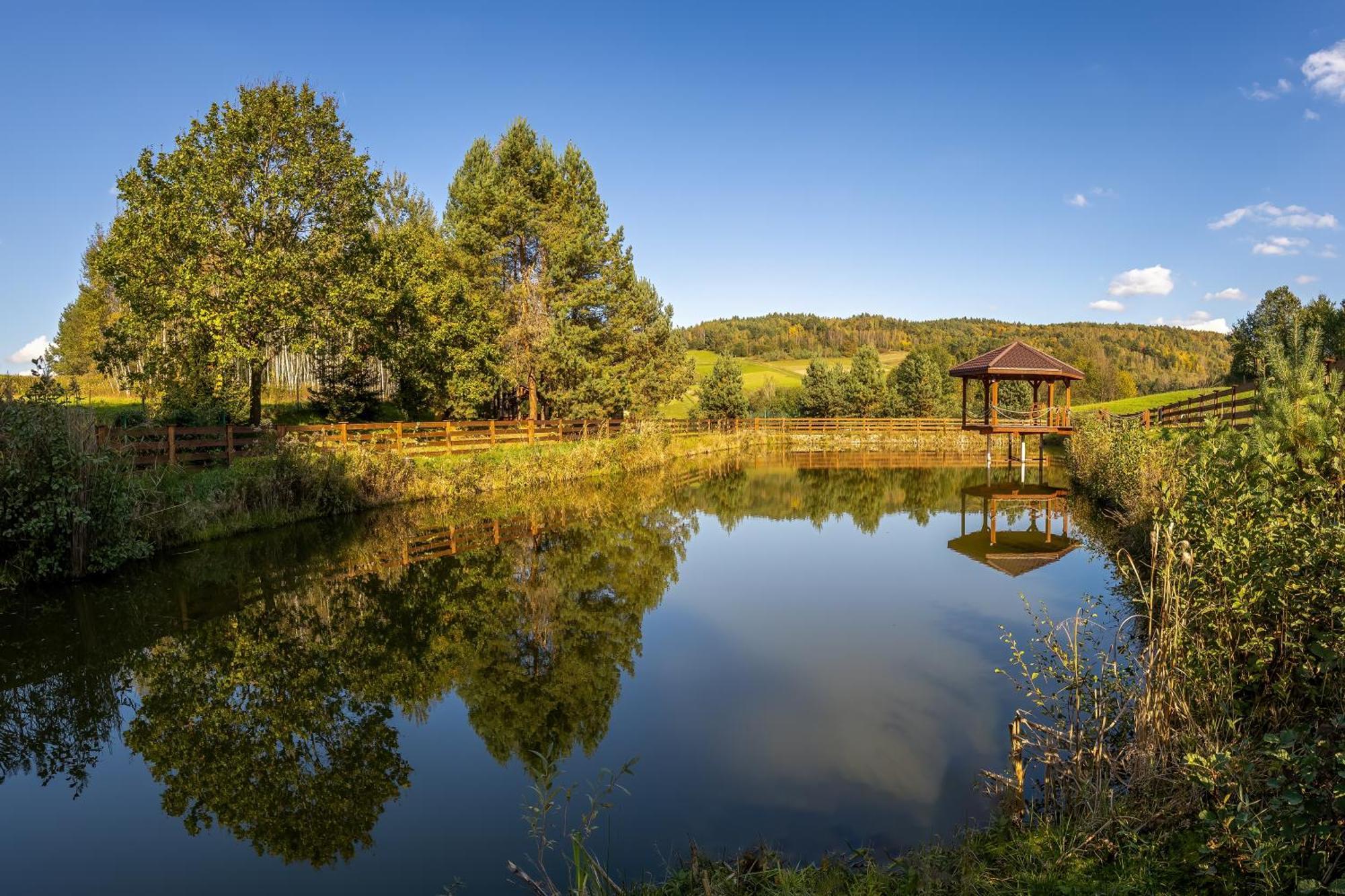 Glamping Pod Gwiazdami Pietrusza Wola酒店 外观 照片