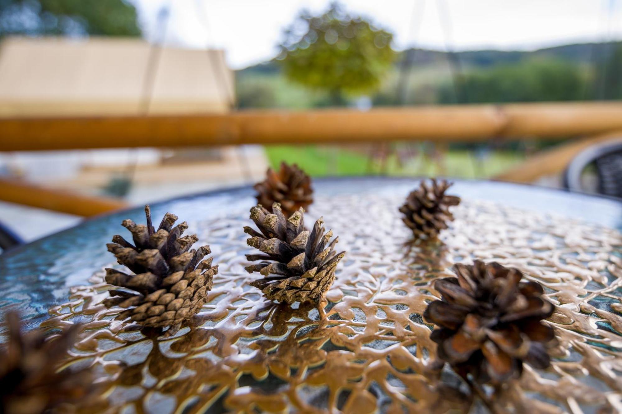 Glamping Pod Gwiazdami Pietrusza Wola酒店 外观 照片